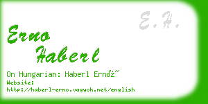 erno haberl business card